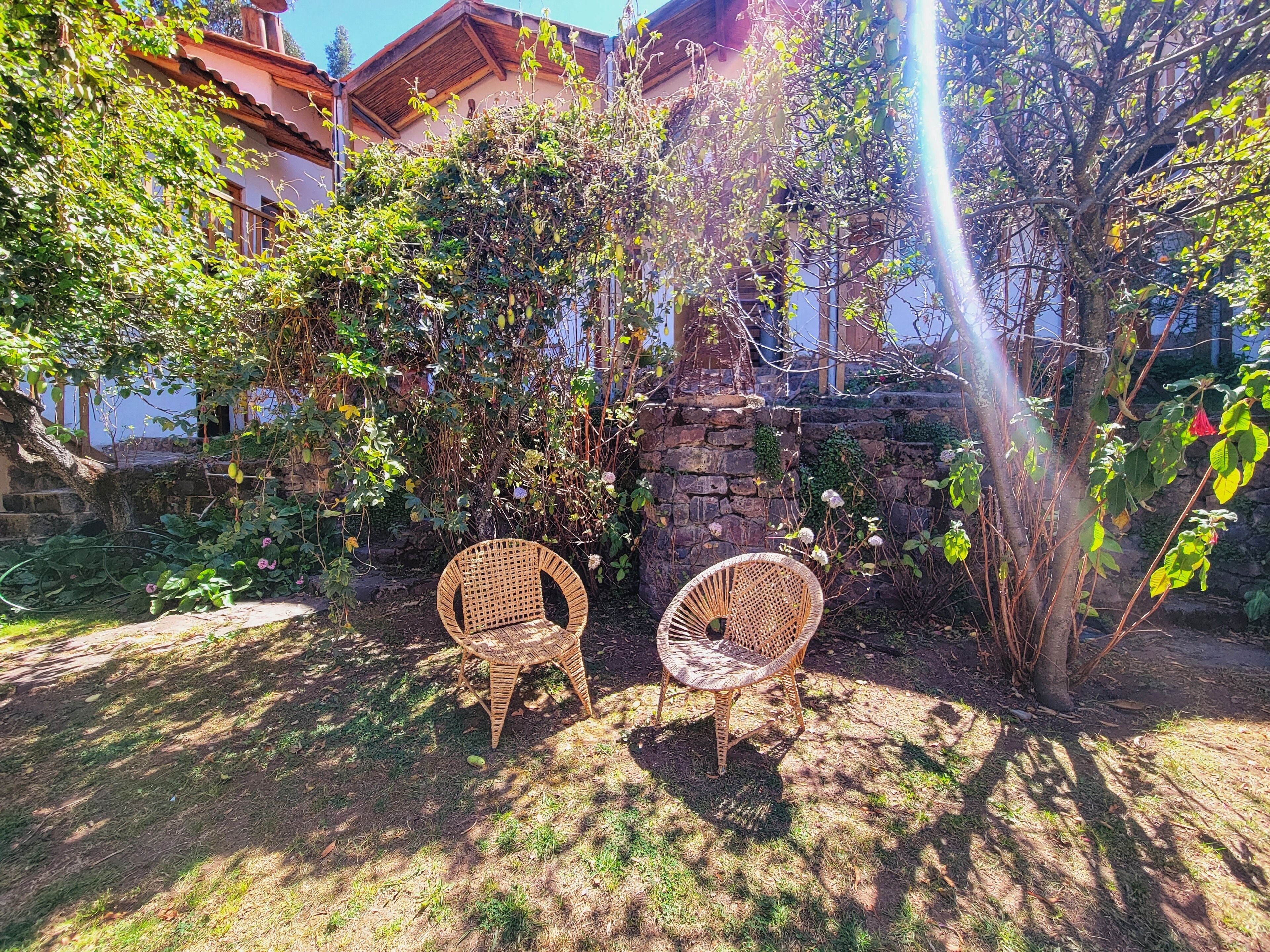 Two wicker chairs in a garden with a stone wall and a tree.