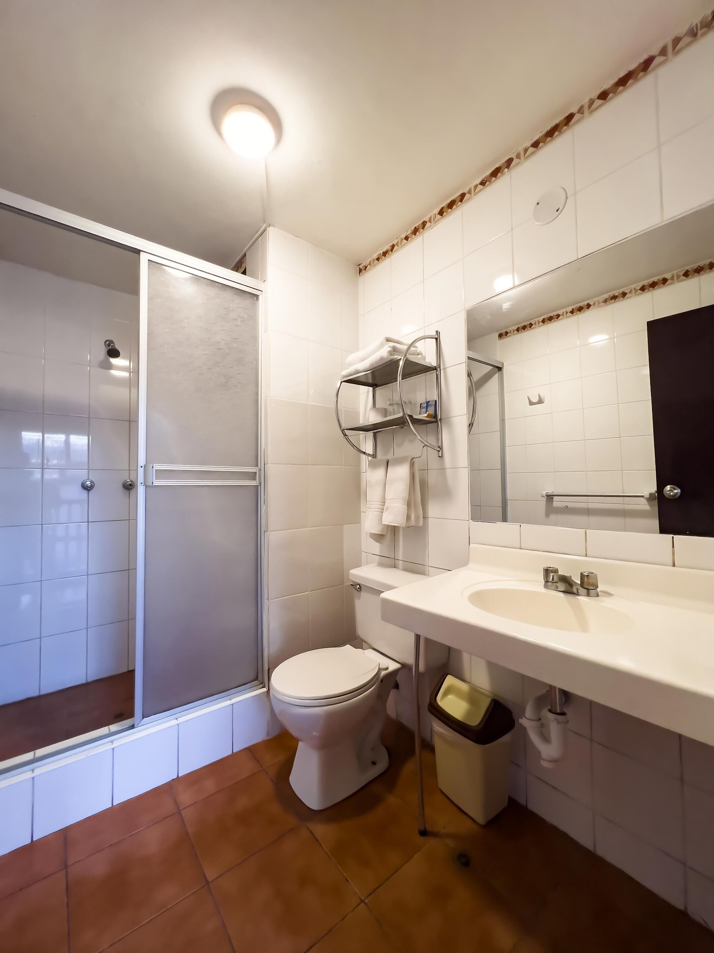 淋浴設備、免費盥洗用品、吹風機、毛巾