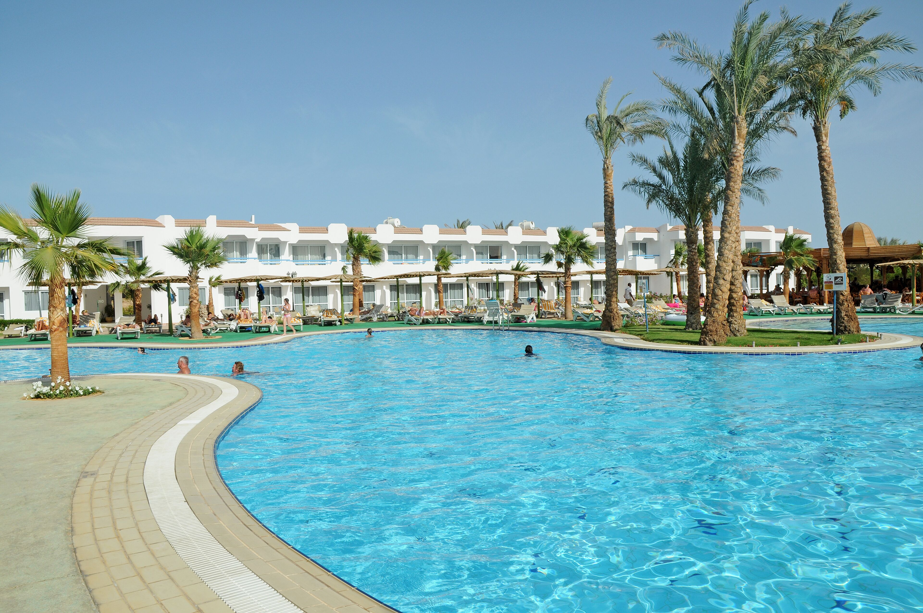 Une grande piscine bordée de palmiers, avec un bâtiment d'hôtel en arrière-plan.