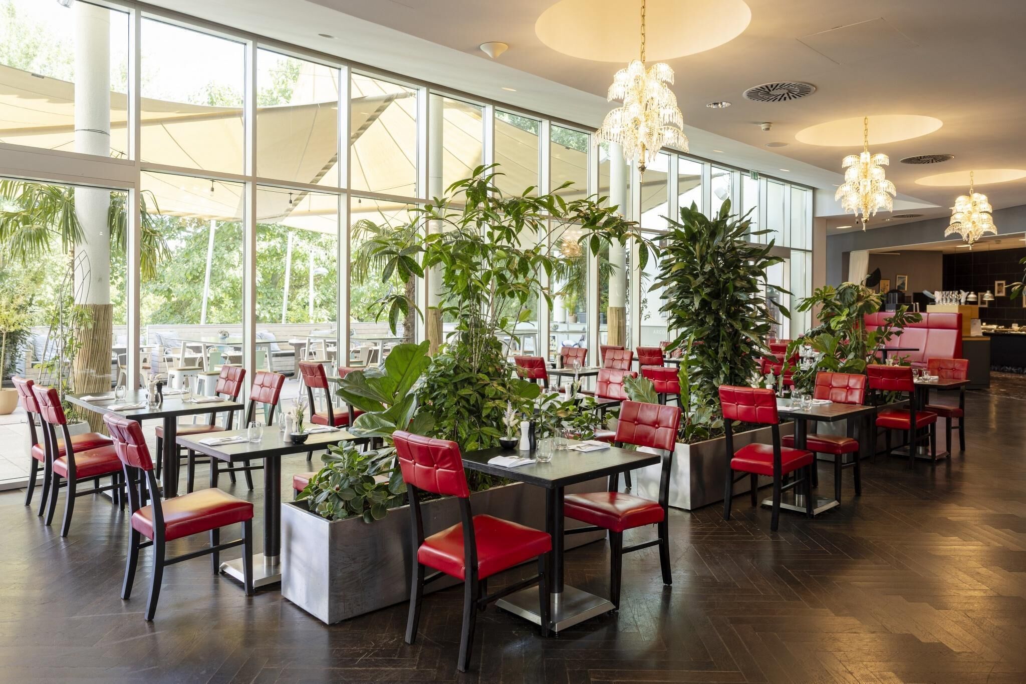Un amplio comedor interior con ventanas grandes, sillas tapizadas de rojo y plantas en macetas.