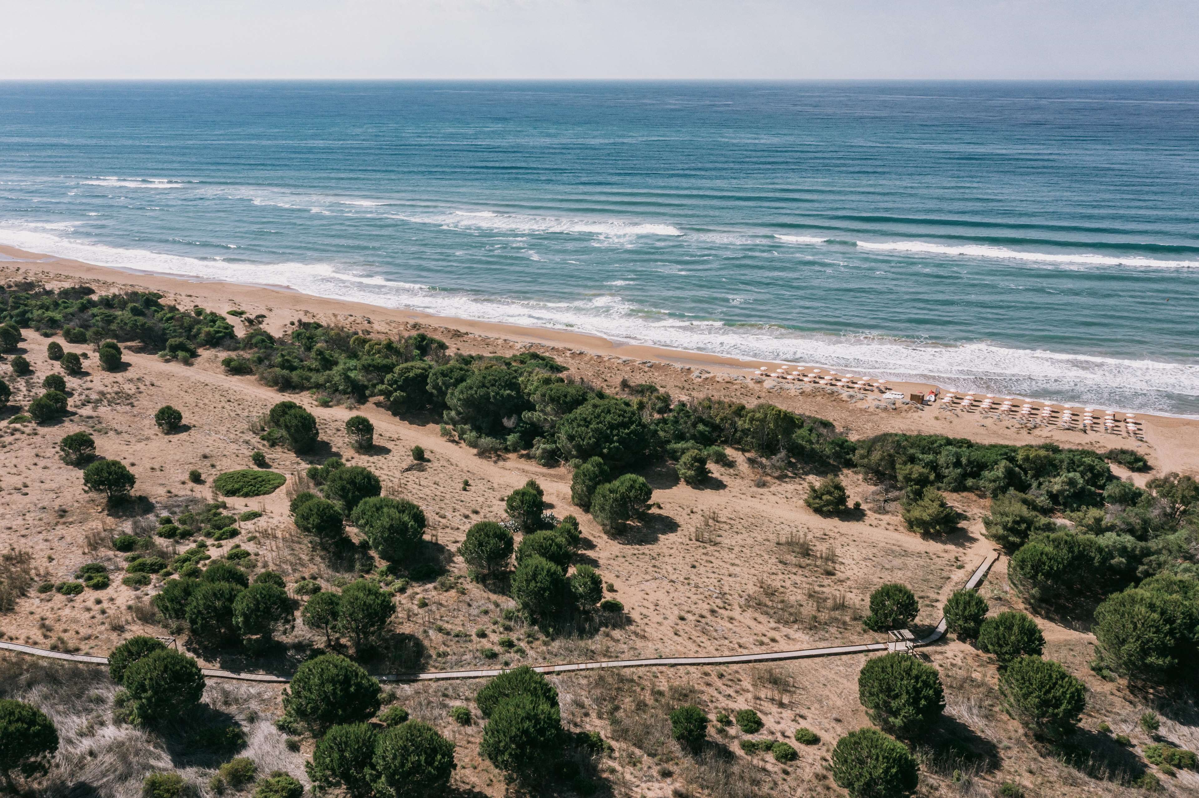 Un paisaje costero con playa, abundante vegetación y un camino pavimentado que conduce a la orilla.