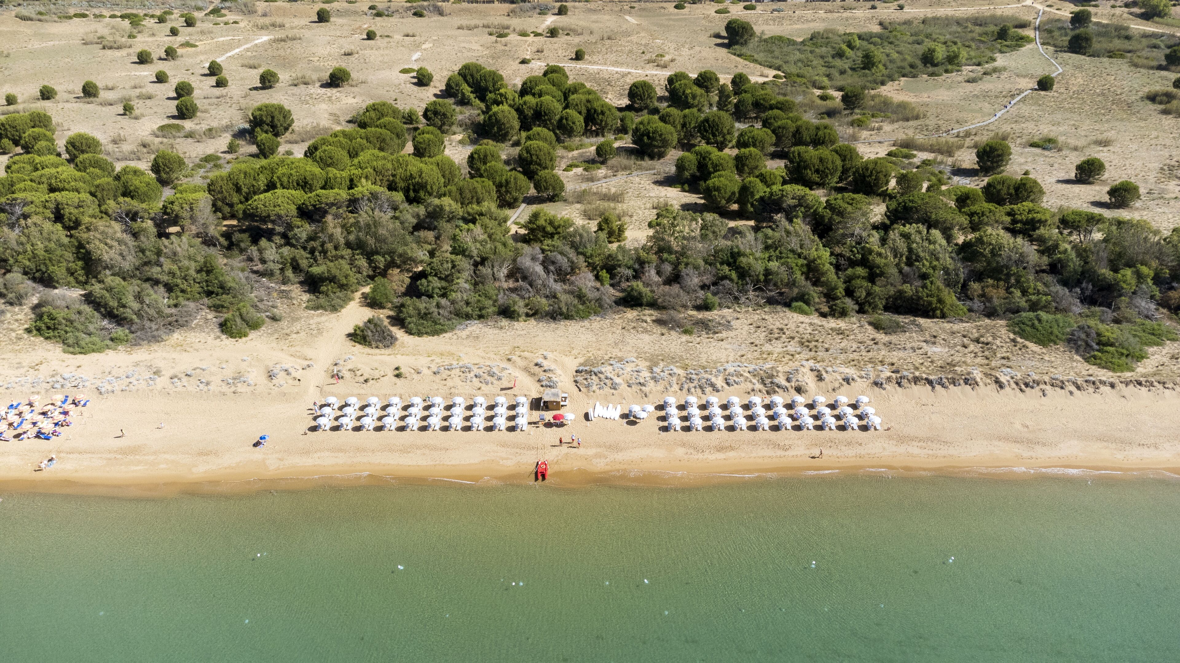 An aerial view of a beach with rows of white umbrellas and beach chairs, a sandy shore, and a backdrop of trees and shrubs.