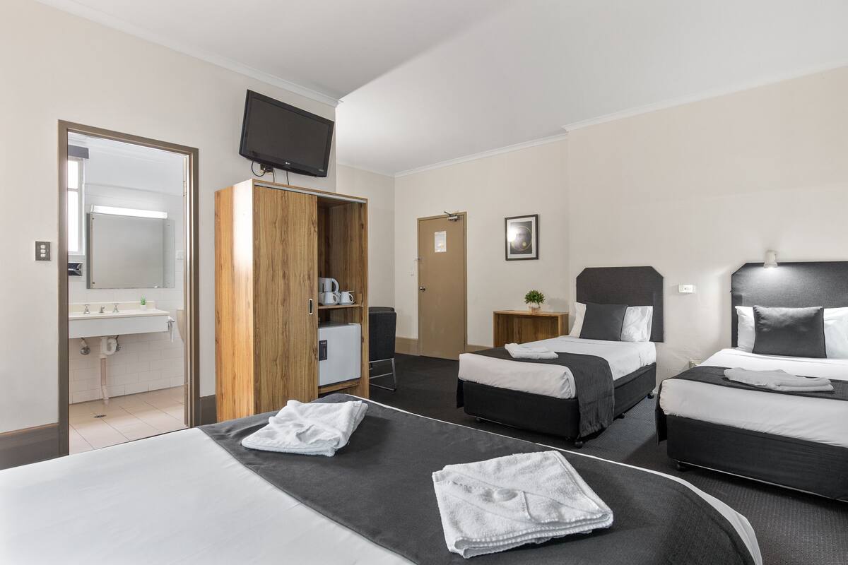 Hotellihuone, jossa on kaksi sänkyä, puinen vaatekaappi, televisio, pieni pöytä, jossa on kasvi, sekä kylpyhuone, jossa on pesuallas ja peili.