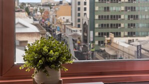 A potted plant on a windowsill with a view of a cityscape.