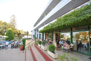 Bar (en la propiedad)