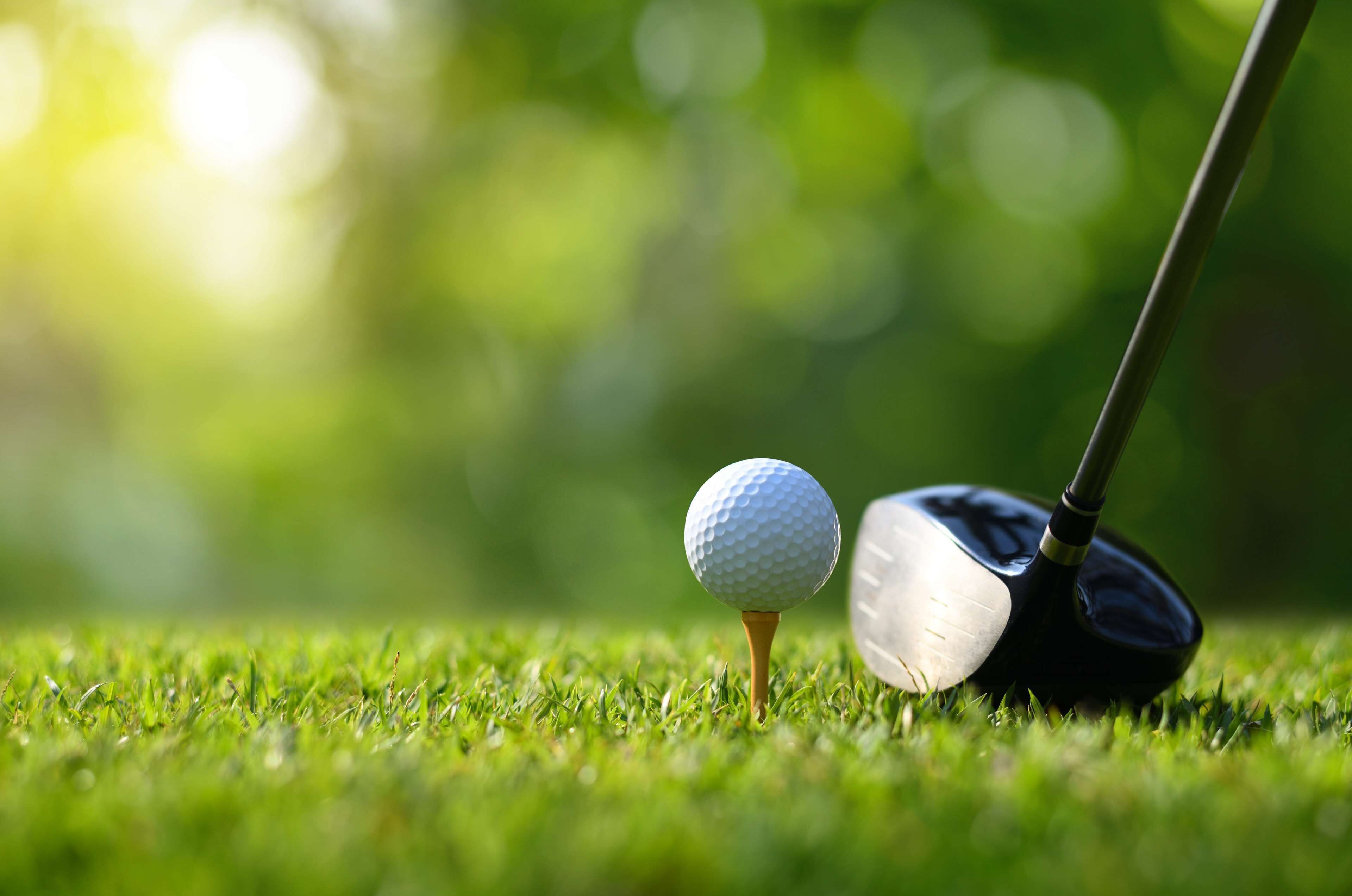 Una pelota de golf sobre el tee en un campo de césped, con un palo de golf cerca.