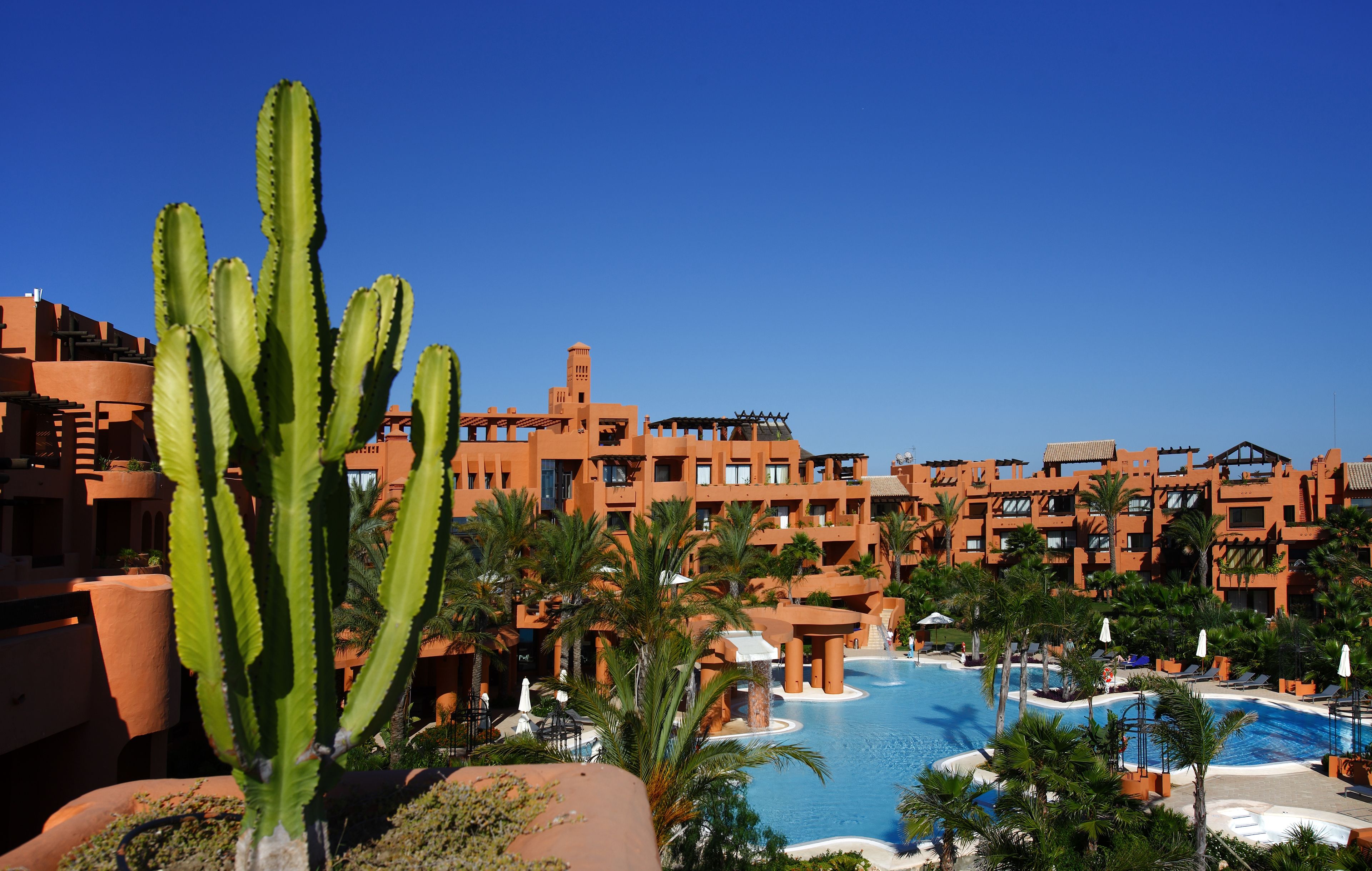 A resort with a large pool, palm trees, and a cactus in the foreground.