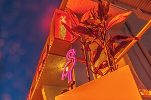 A neon sign with the word 'NANCY' and a plant with broad leaves.