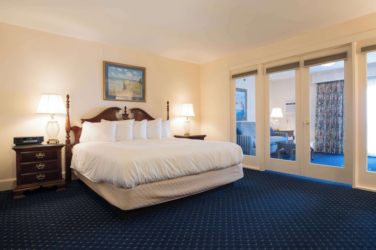Premium kamer, 1 kingsize bed | Hypoallergeen beddengoed, een kluis op de kamer, individueel gedecoreerd