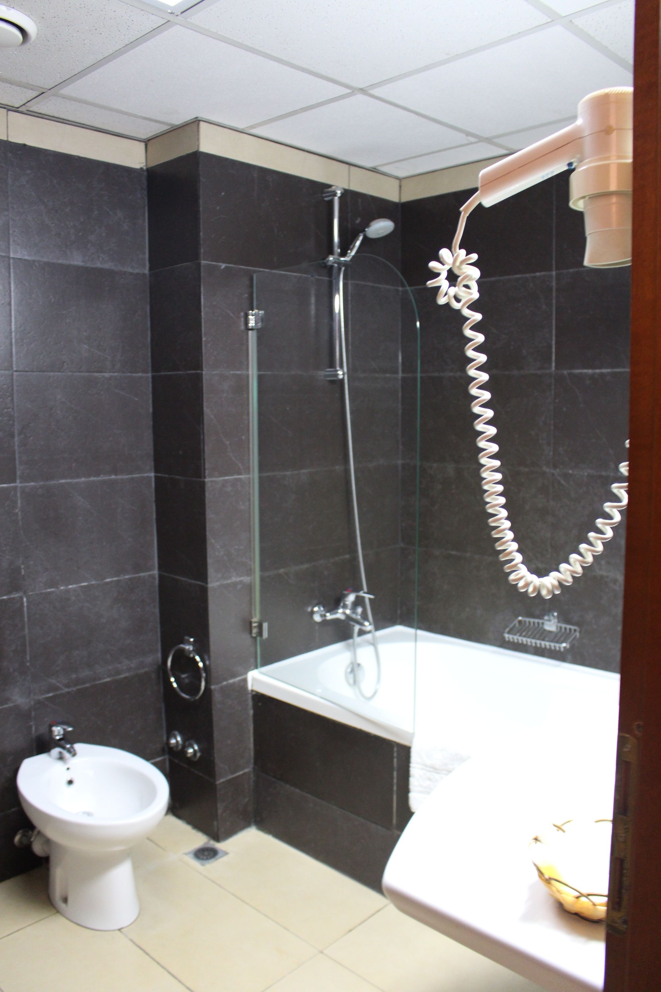 Un baño con bidé, bañera y ducha con cabezal de ducha manual.