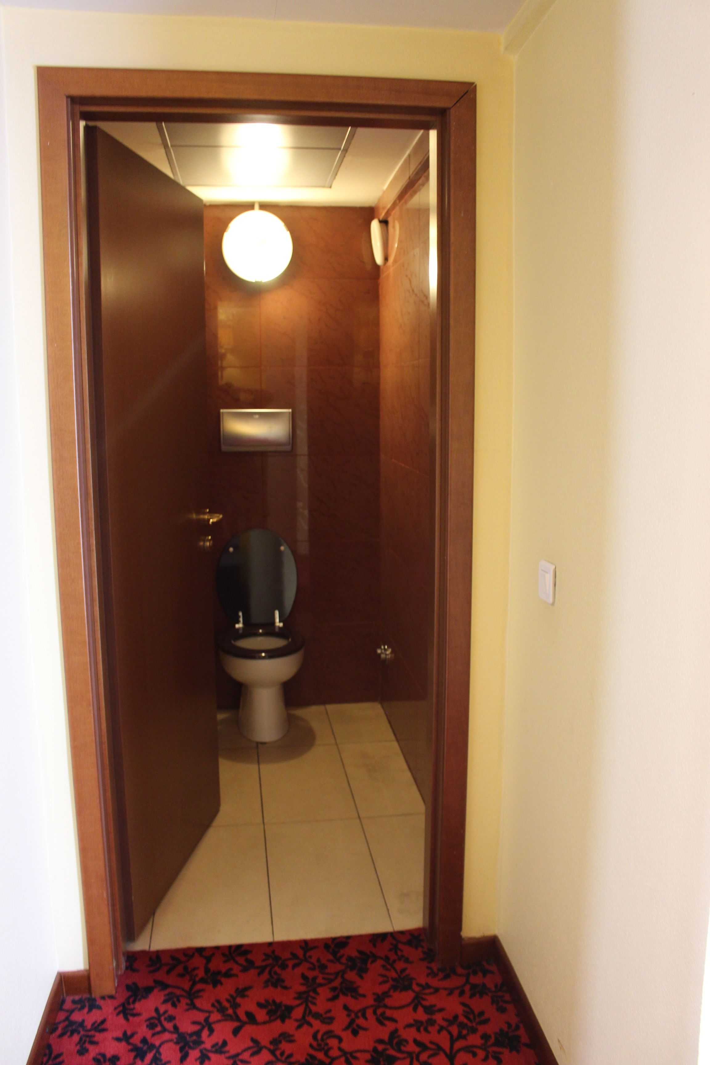 A narrow hallway leading to a bathroom with a toilet and a mirror.