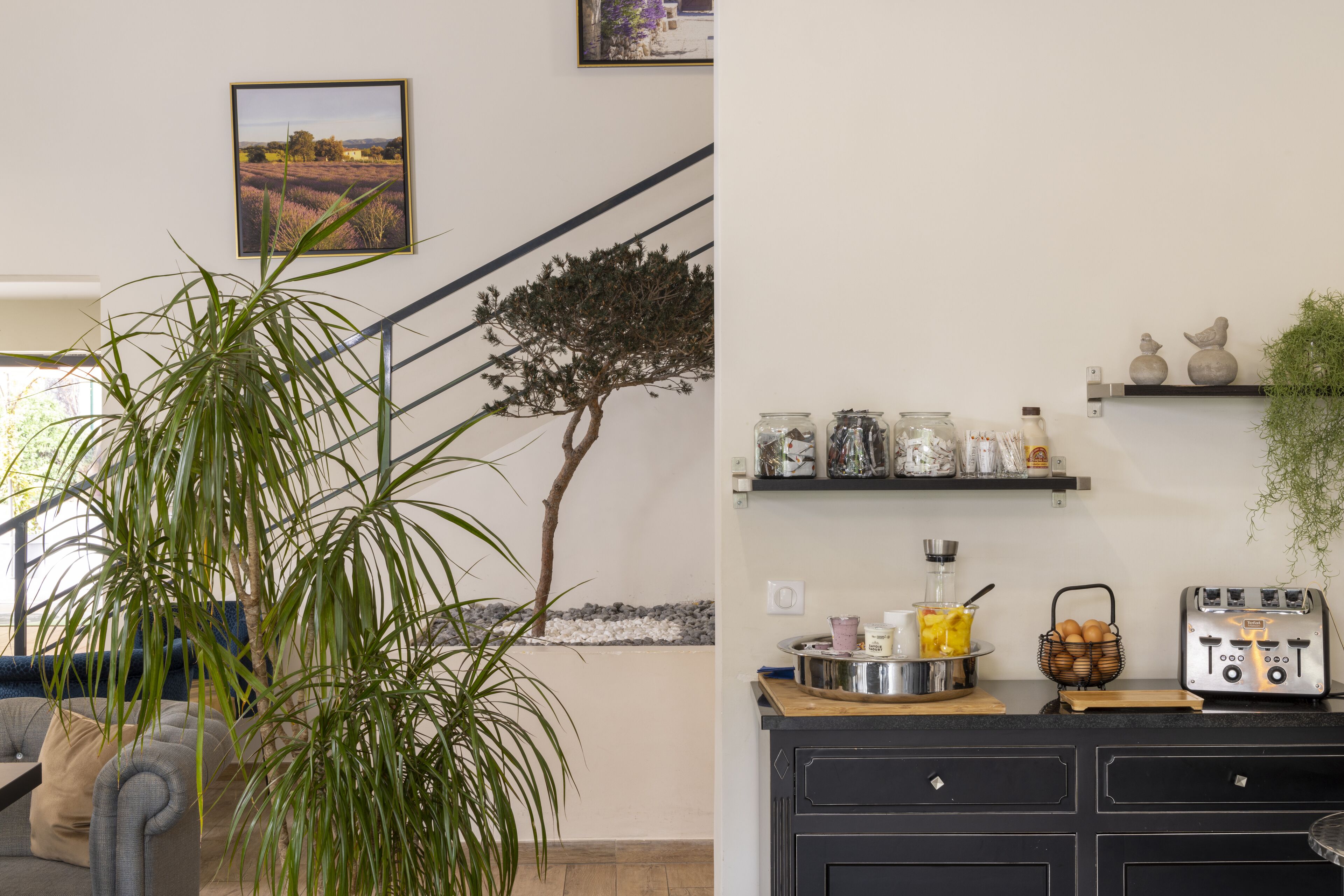 free daily continental breakfast