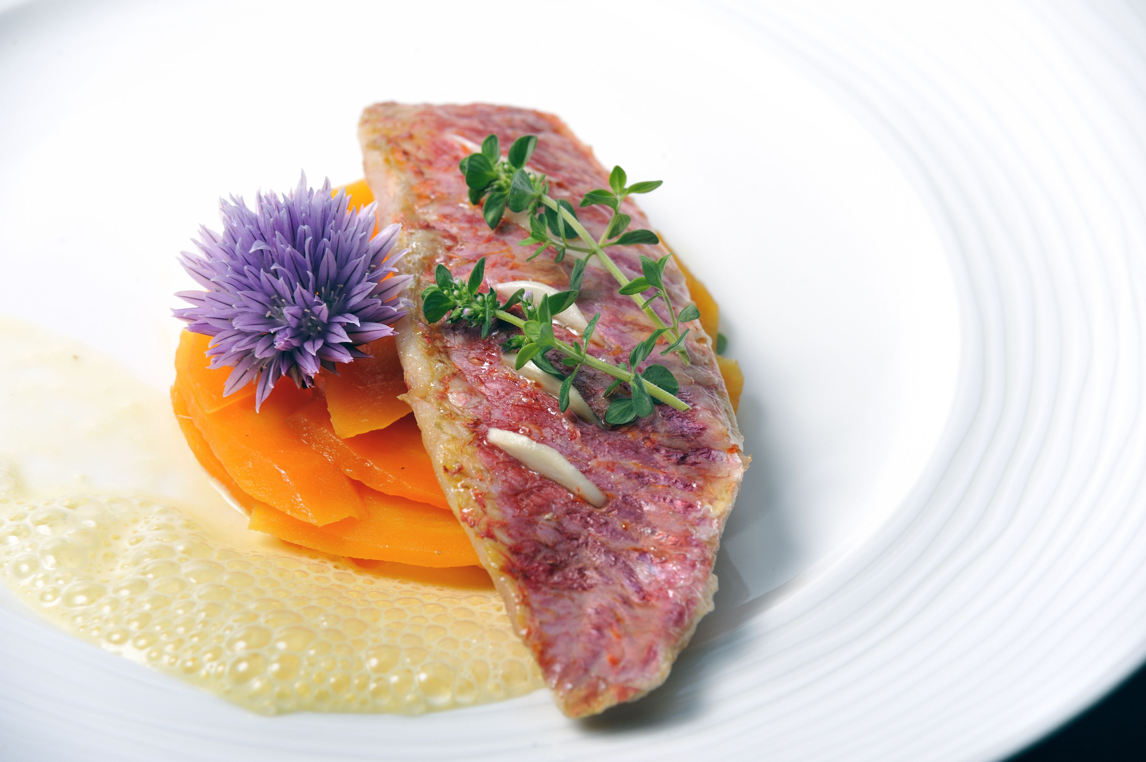 A plate with a piece of meat, a slice of orange, and a purple flower garnish.