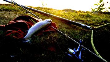 Fiskestang med fisk liggende på et rødt klæde foran en græsplæne.