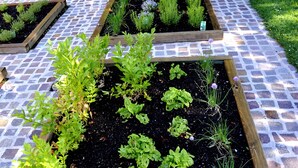 Un jardin avec des plates-bandes surélevées et un chemin dallé.
