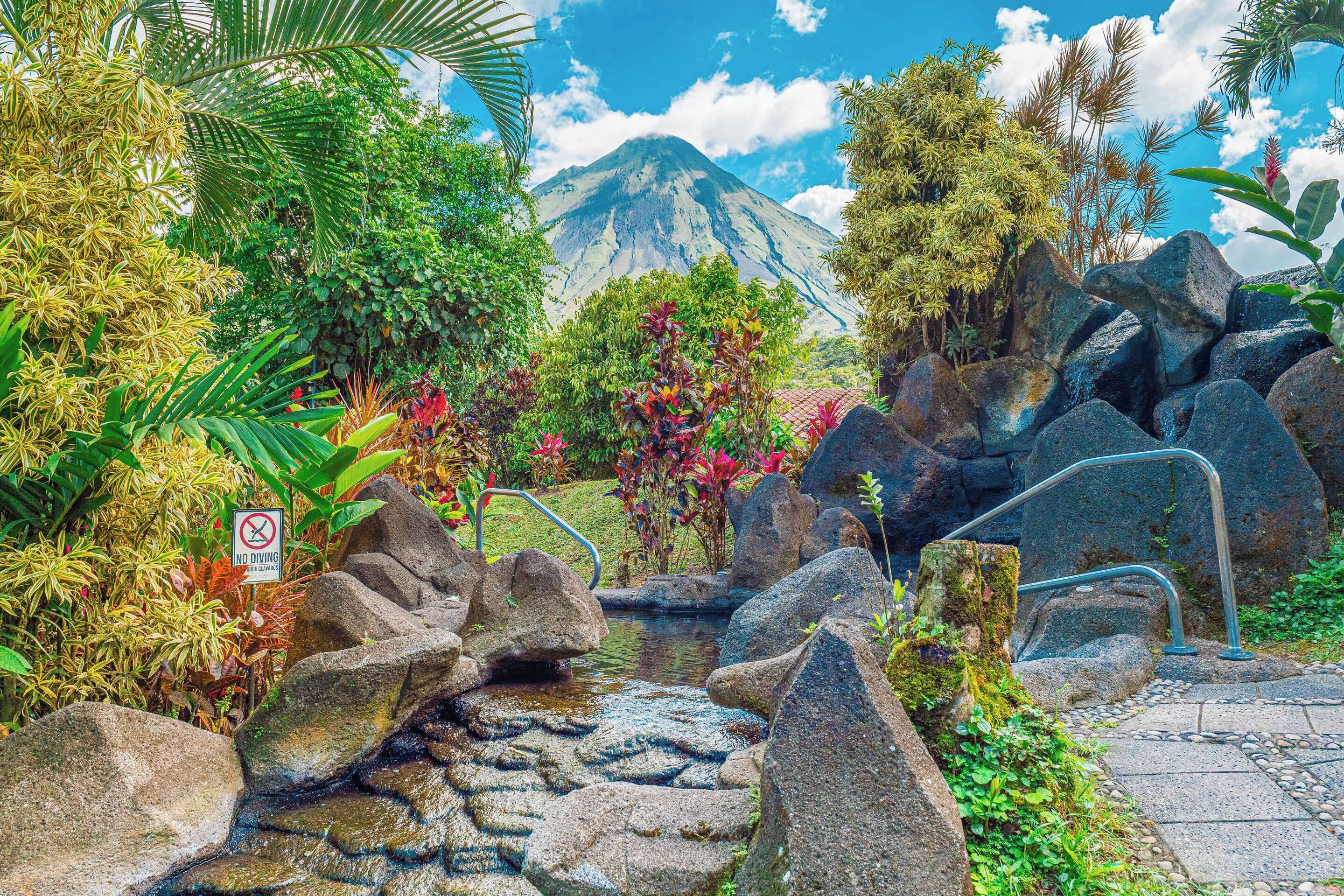 A garden with a pond, rocks, and a 'No Diving' sign.