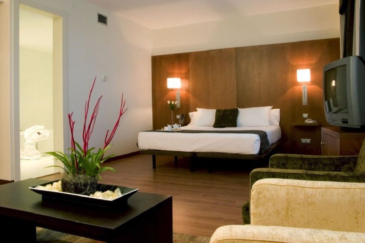 A hotel room with a bed, bedside lamps, a television, a plant on a table, and a sofa.