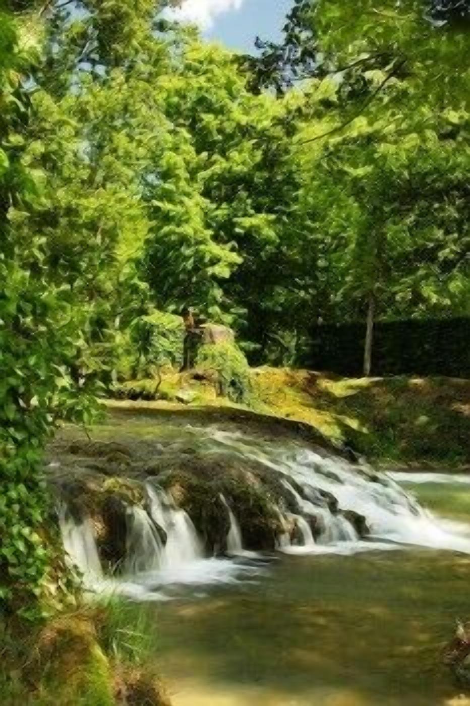 A natural landscape with a waterfall and dense greenery.