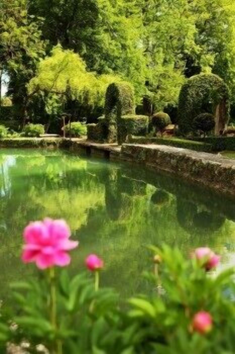 Een rustige tuin met een vijver, weelderig groen en roze bloemen op de voorgrond.