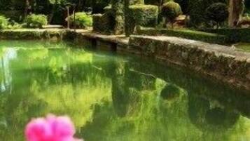 Een rustige tuin met een vijver, weelderig groen en roze bloemen op de voorgrond.