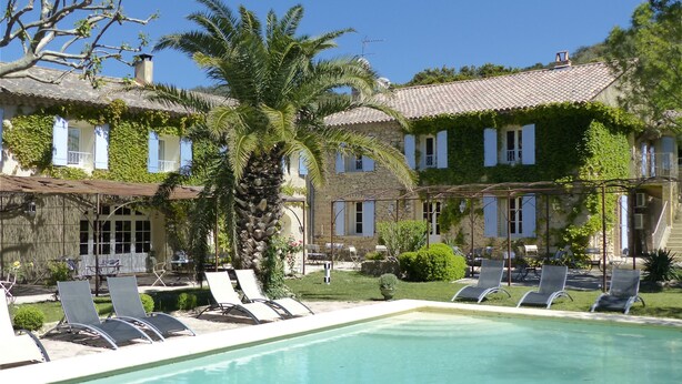 A poolside area with lounge chairs and a palm tree. - La Sommellerie (Chateauneuf-du-Pape)