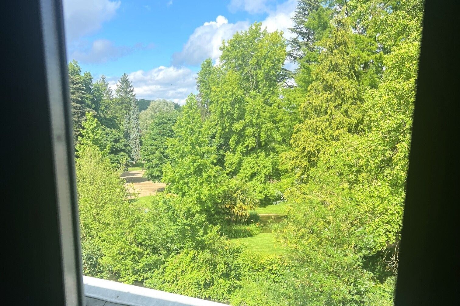 Blick aus einem Fenster auf eine üppige, grüne Landschaft mit dichten Bäumen und blauem Himmel.