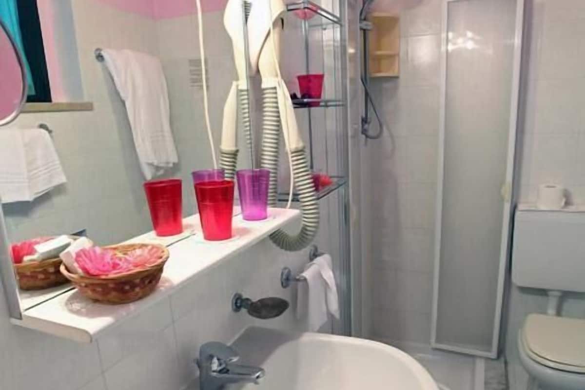 shower, free toiletries, hair dryer, bidet