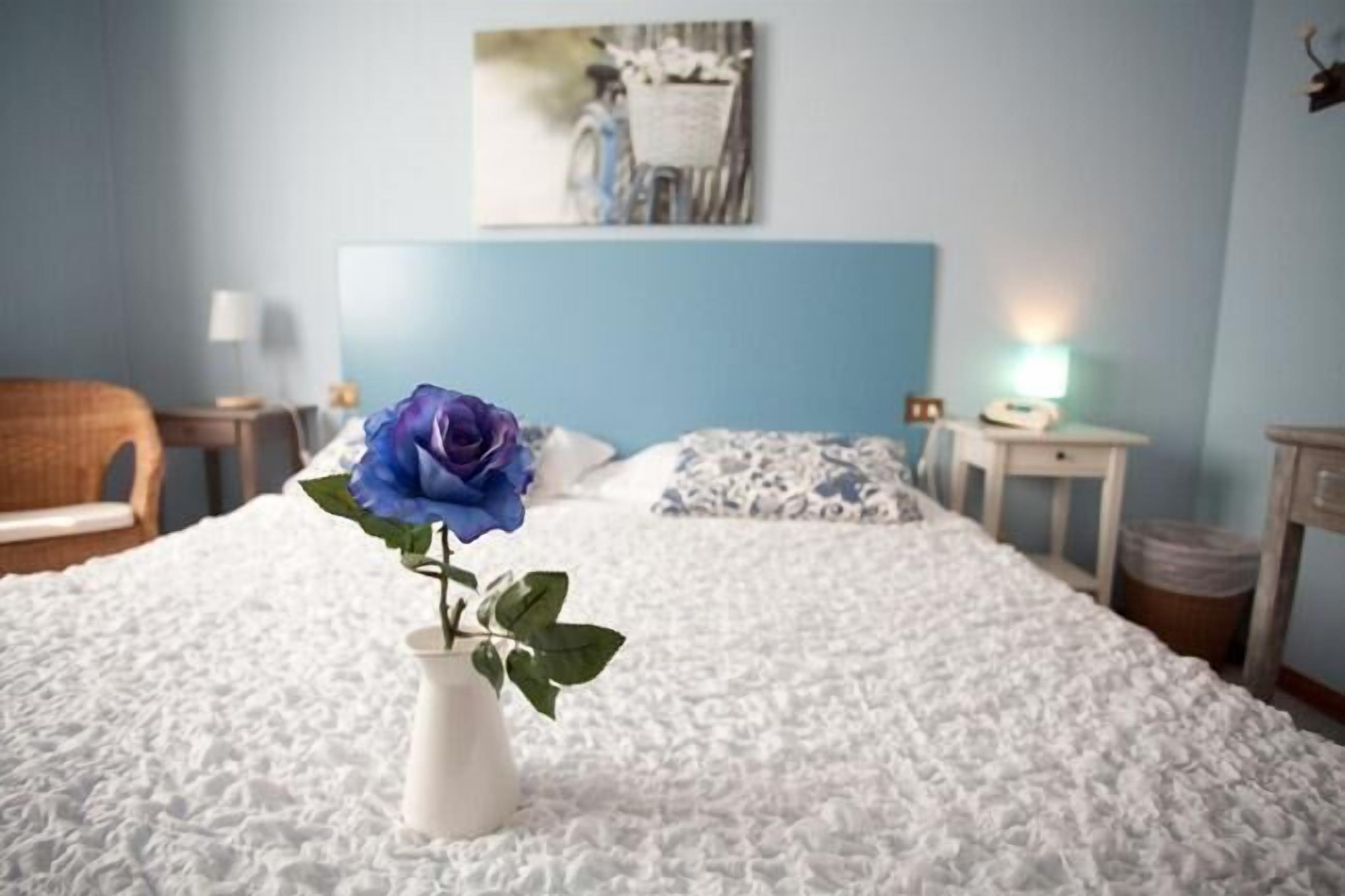 Doppel- oder Zweibettzimmer