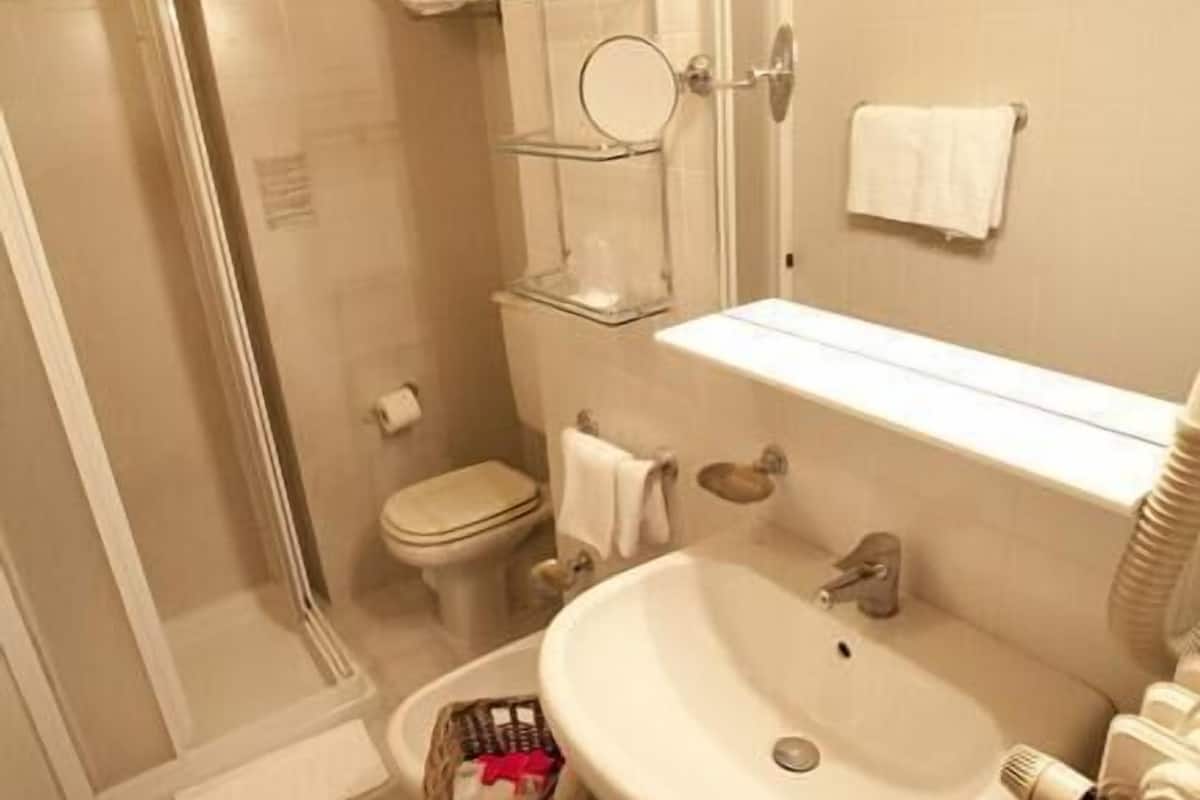 shower, free toiletries, hair dryer, bidet