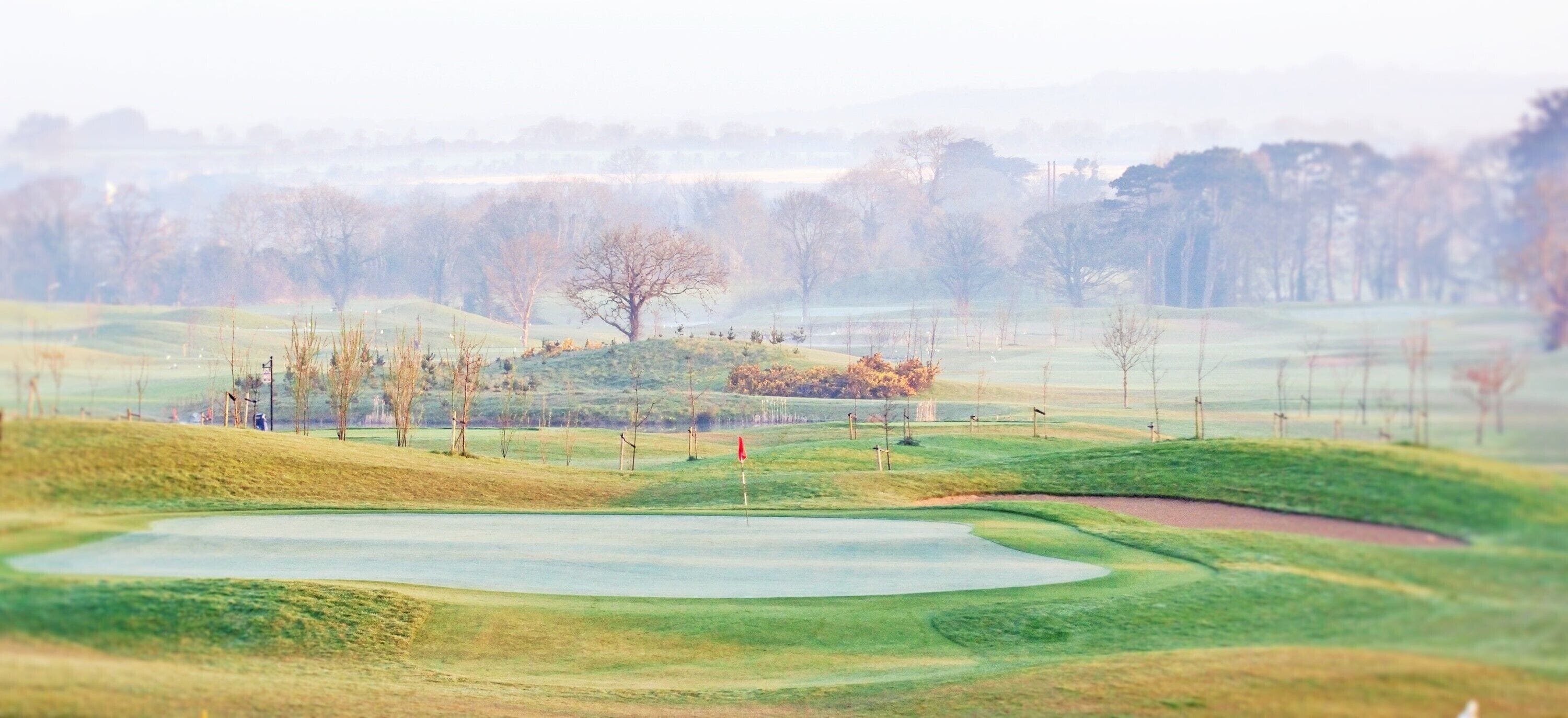 Foto - Roganstown Hotel & Country Club
