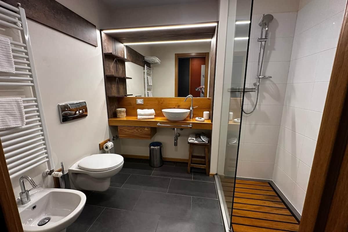 shower, designer toiletries, hair dryer, bidet