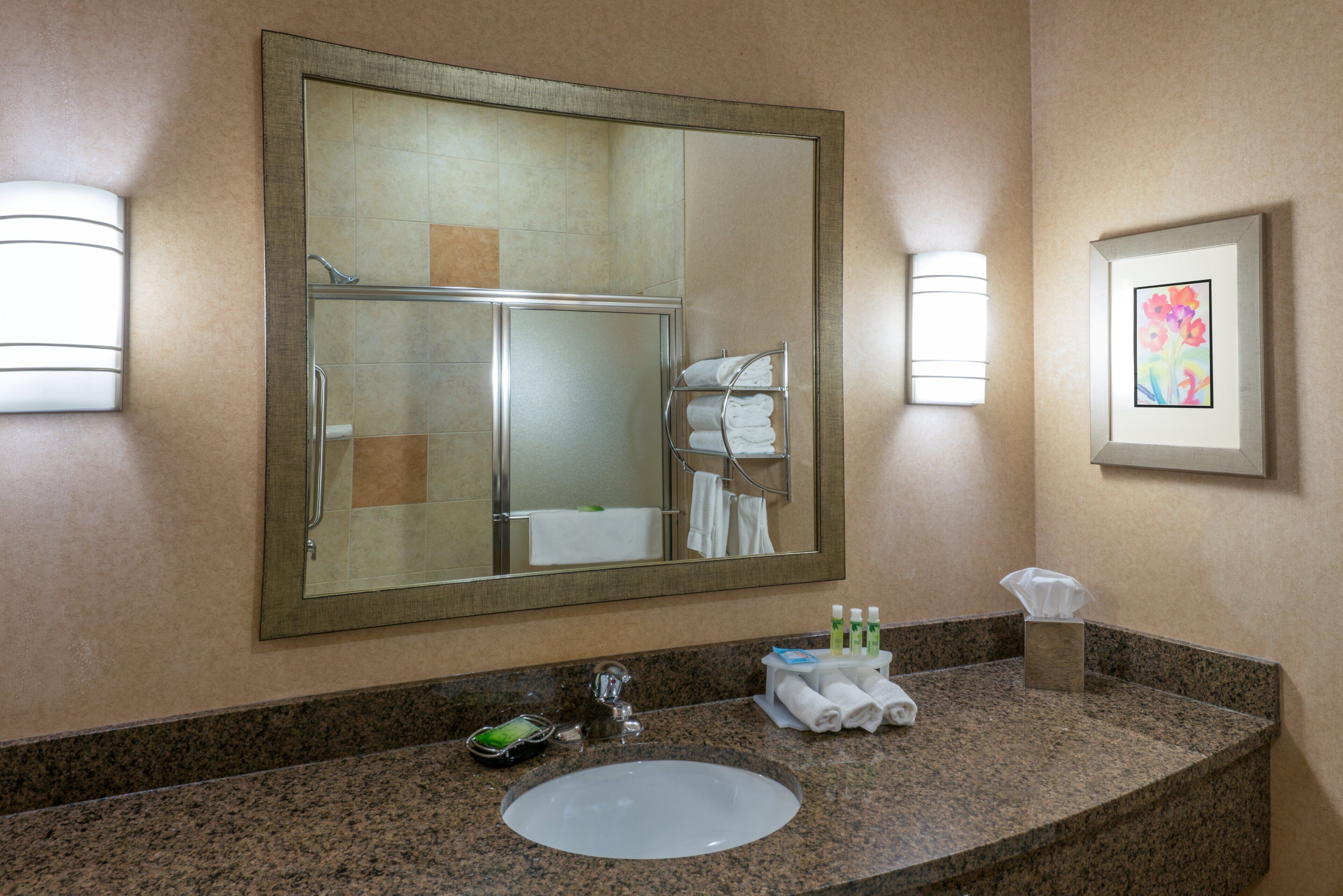 A bathroom with a large mirror, a sink, a towel rack, and a framed picture on the wall.