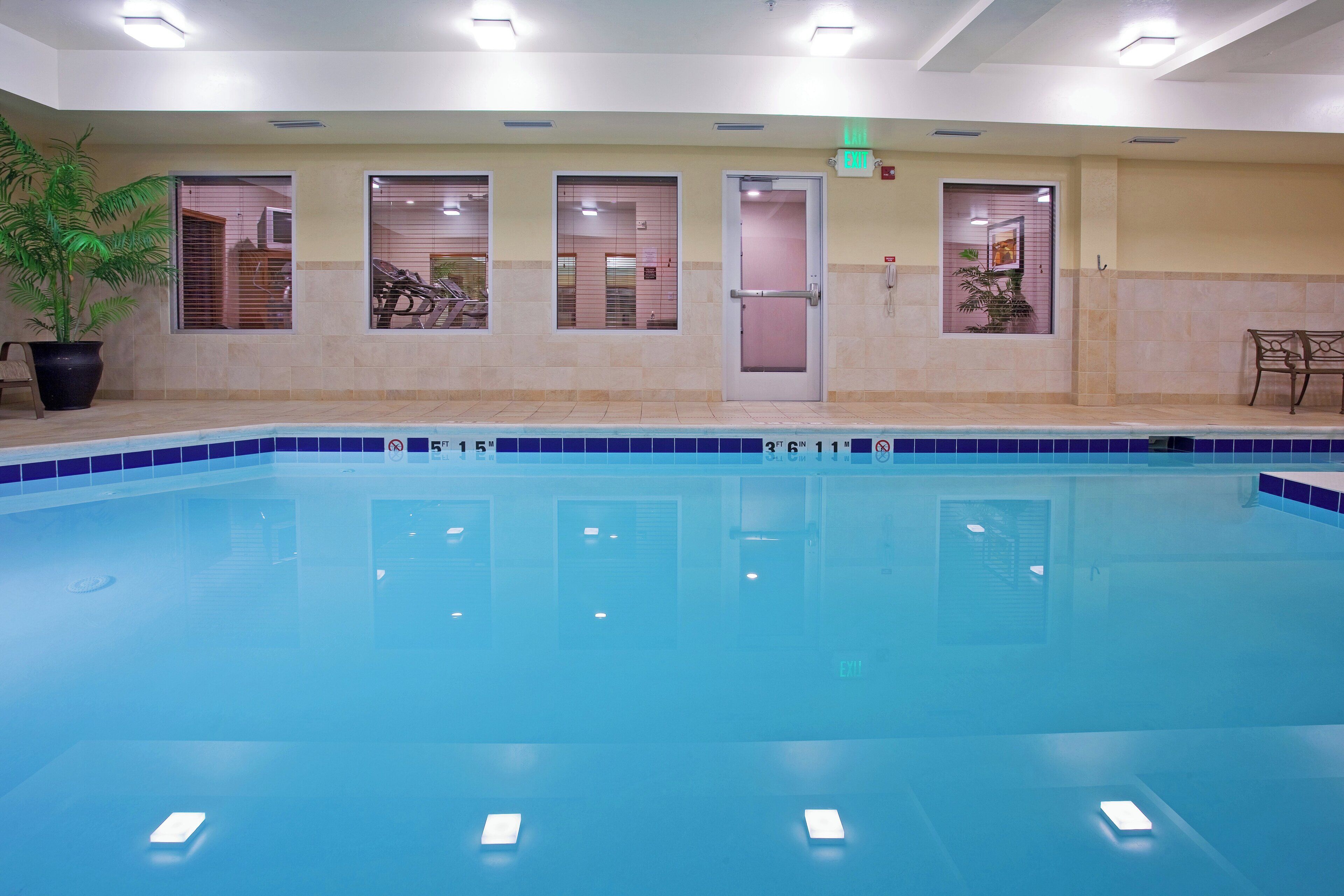An indoor swimming pool with clear water, tiled walls, and a potted plant.