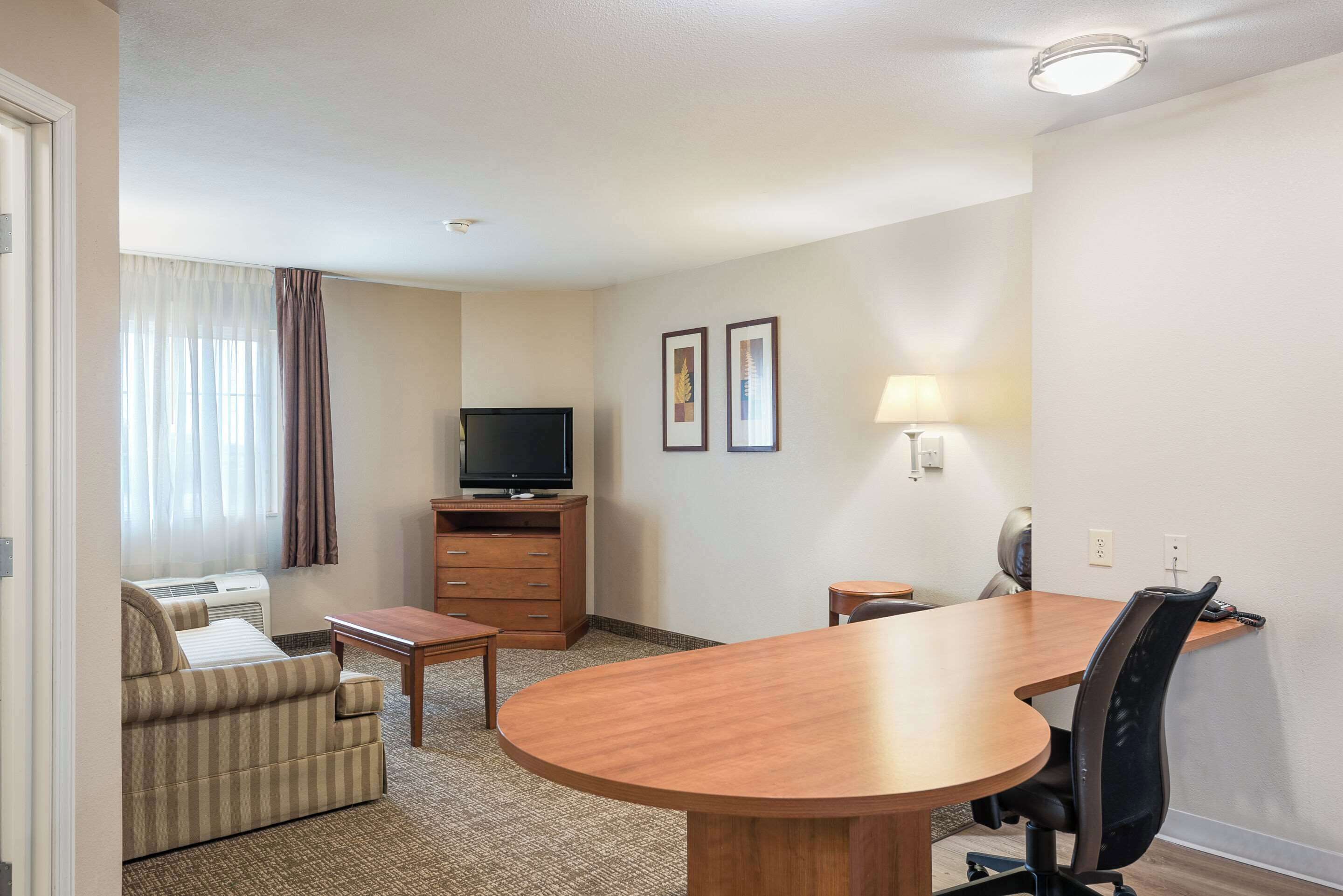 Suite, 1 King Bed with Sofa bed, Non Smoking (Efficiency)