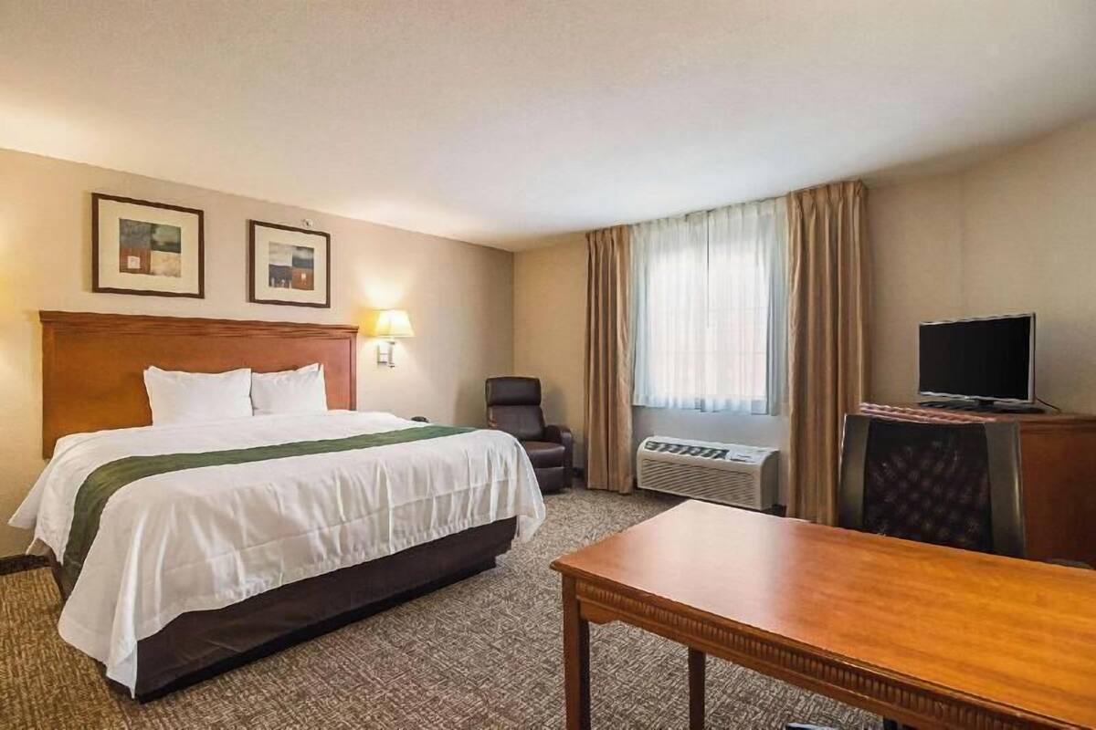 A hotel room with a bed, a desk, a chair, a television, and two framed pictures on the wall.