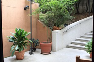 Un cortile con piante in vaso, una scala e un muro.