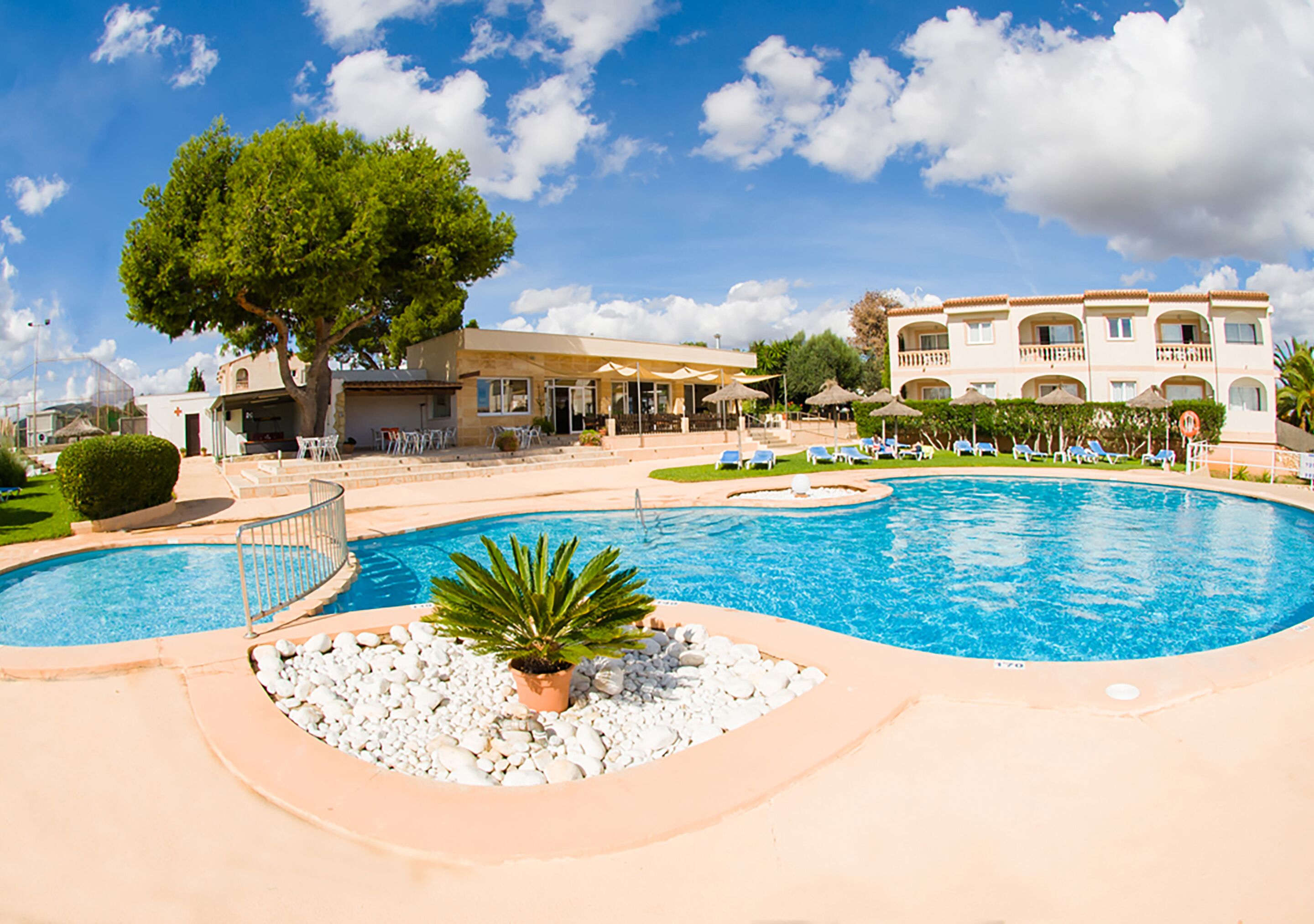 Una piscina con una zona hundida, rodeada de guijarros blancos y una planta de palmera. Hay sillas de descanso y sombrillas alrededor de la piscina.