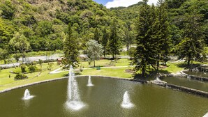 Un parque tranquilo con un estanque, fuentes y abundante vegetación.