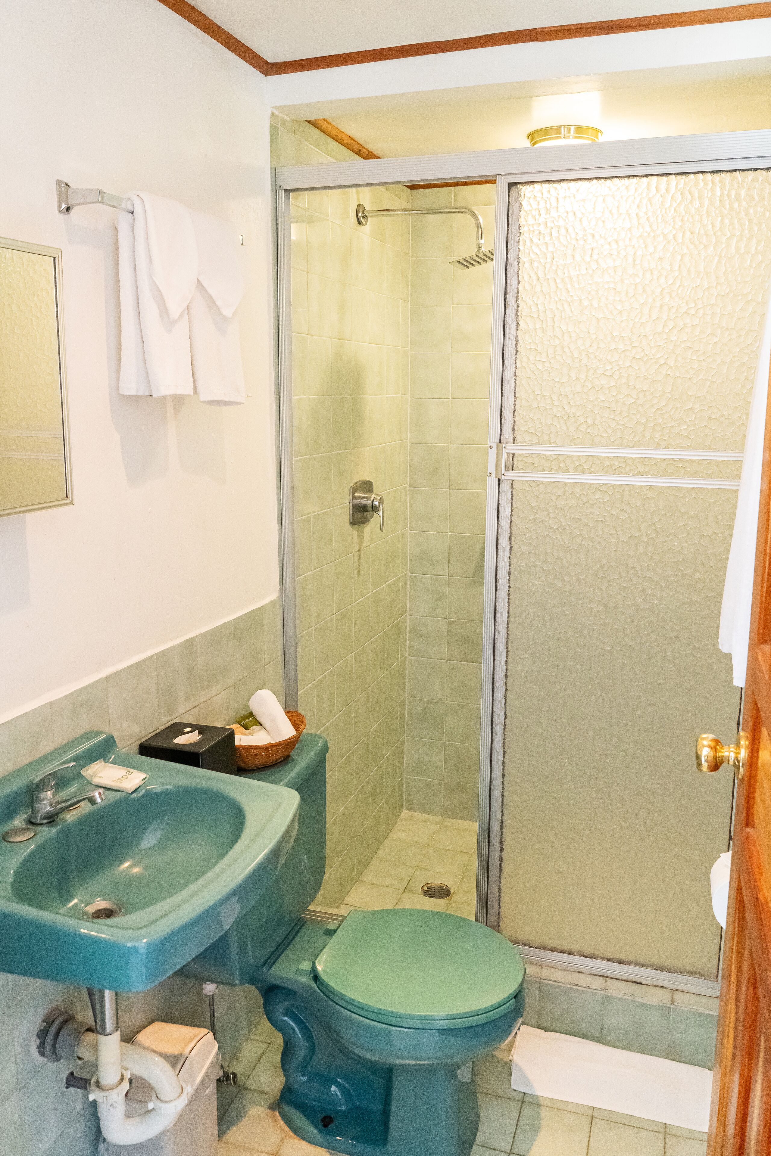 Un baño con lavamanos verde, inodoro y ducha con mampara de vidrio.