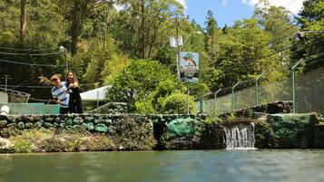 Un puente de piedra sobre un arroyo pequeño, con un letrero que indica una zona de pesca de truchas.
