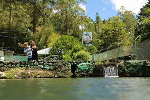 Un pont de pierre enjambe un petit ruisseau, et un panneau indique une zone de pêche à la truite.