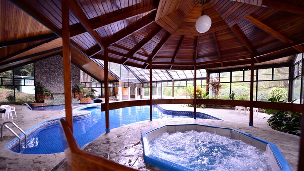 Zona de piscina interior con techo de madera y paredes de vidrio, rodeada de plantas y mobiliario.