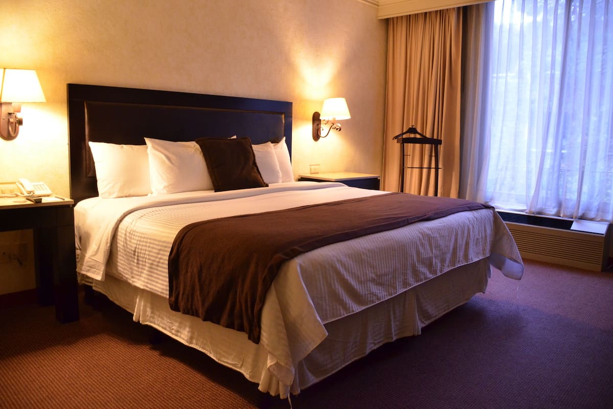 Standard Room, 1 King Bed | In-room safe, desk, blackout drapes, iron/ironing board