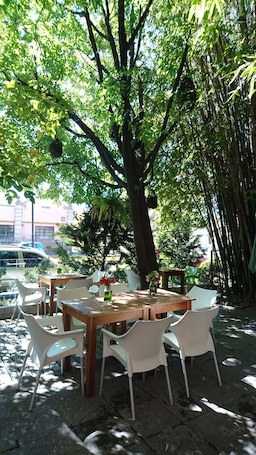 View from property. Hotel Gobernador