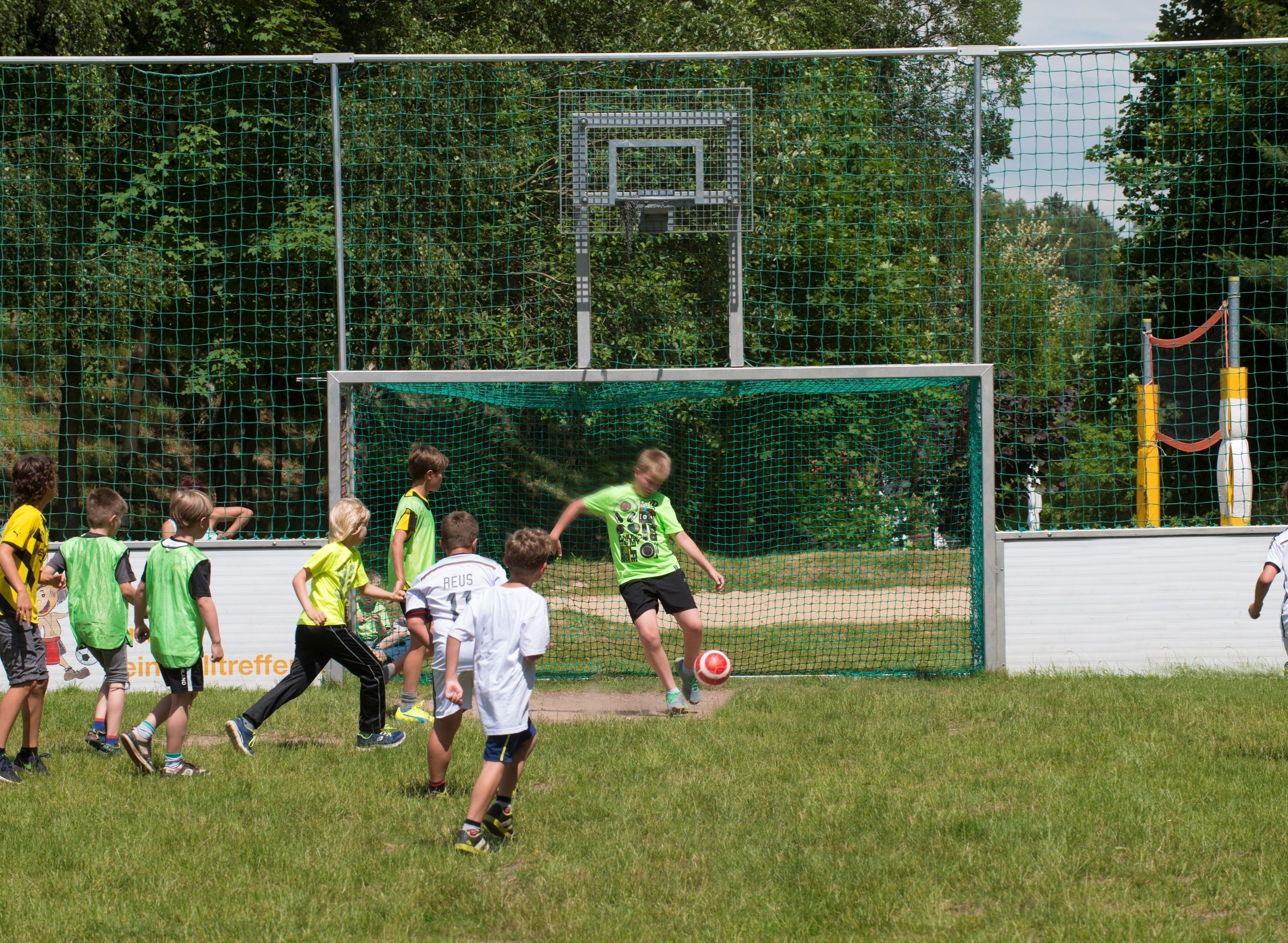 Un campo de fútbol con un arco y una red, rodeado por una valla y árboles.