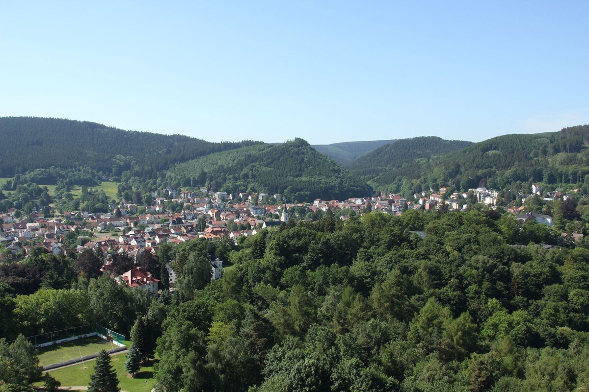 A town nestled in a valley with dense forested hills, a mix of residential buildings, and a clear sky.
