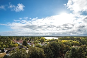 Panorama Studio lake view | View from room
