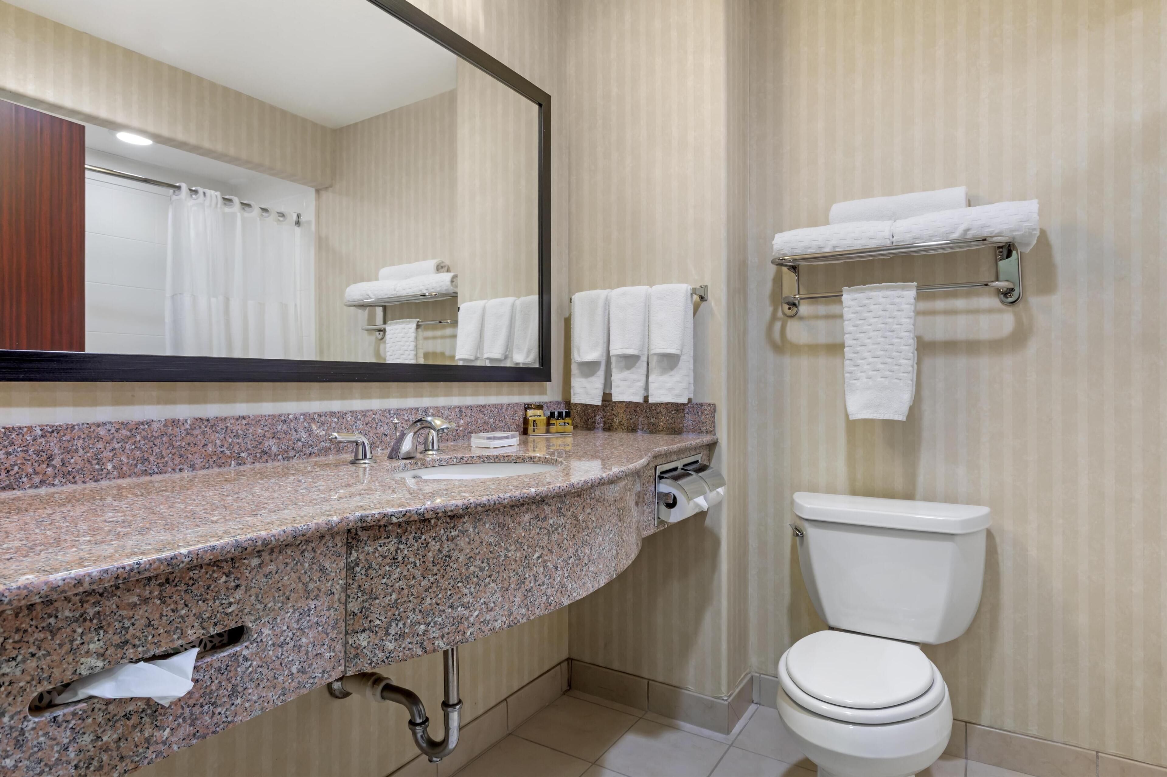 combined shower/bathtub, free toiletries, hair dryer, towels