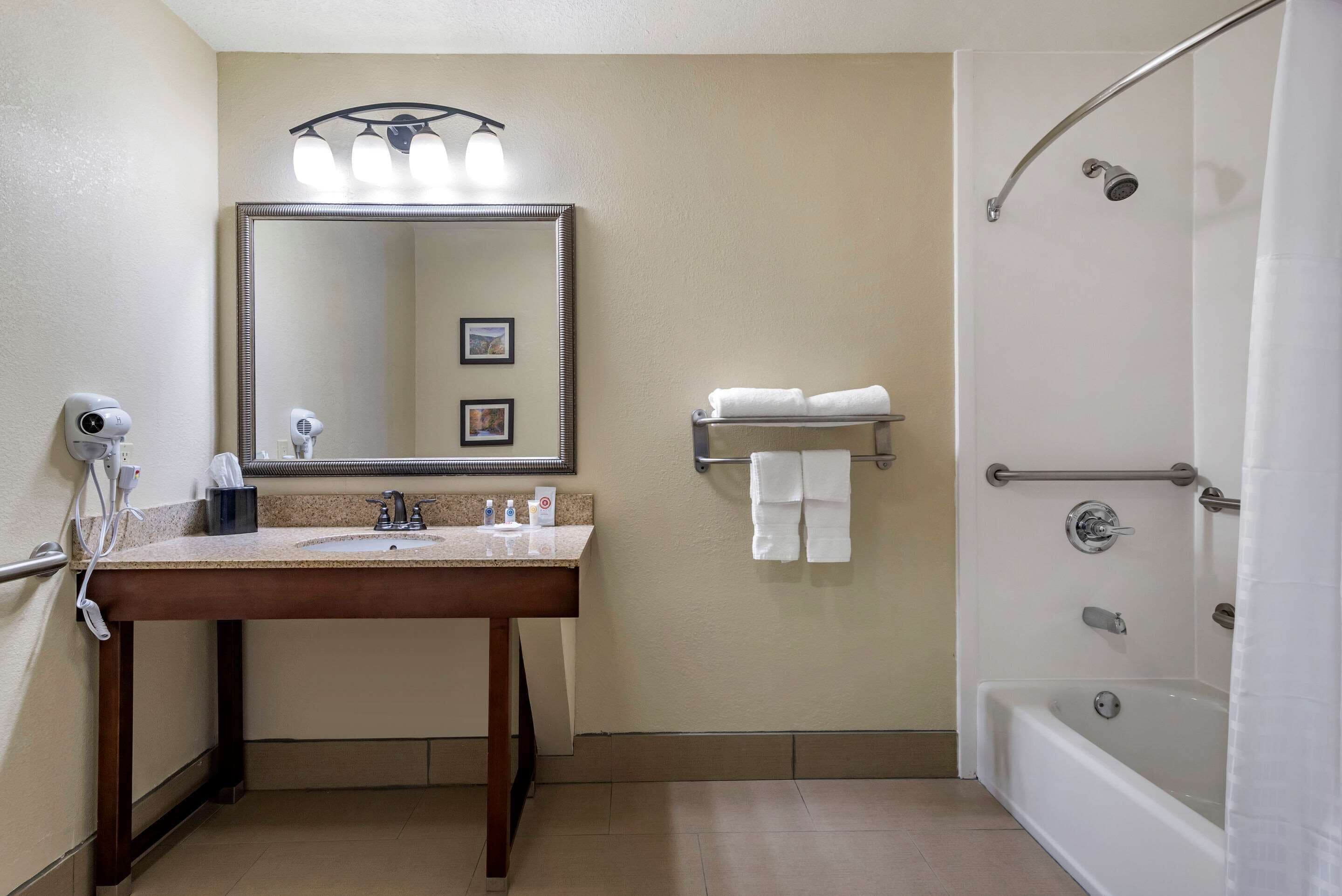 combined shower/bathtub, free toiletries, hair dryer, towels