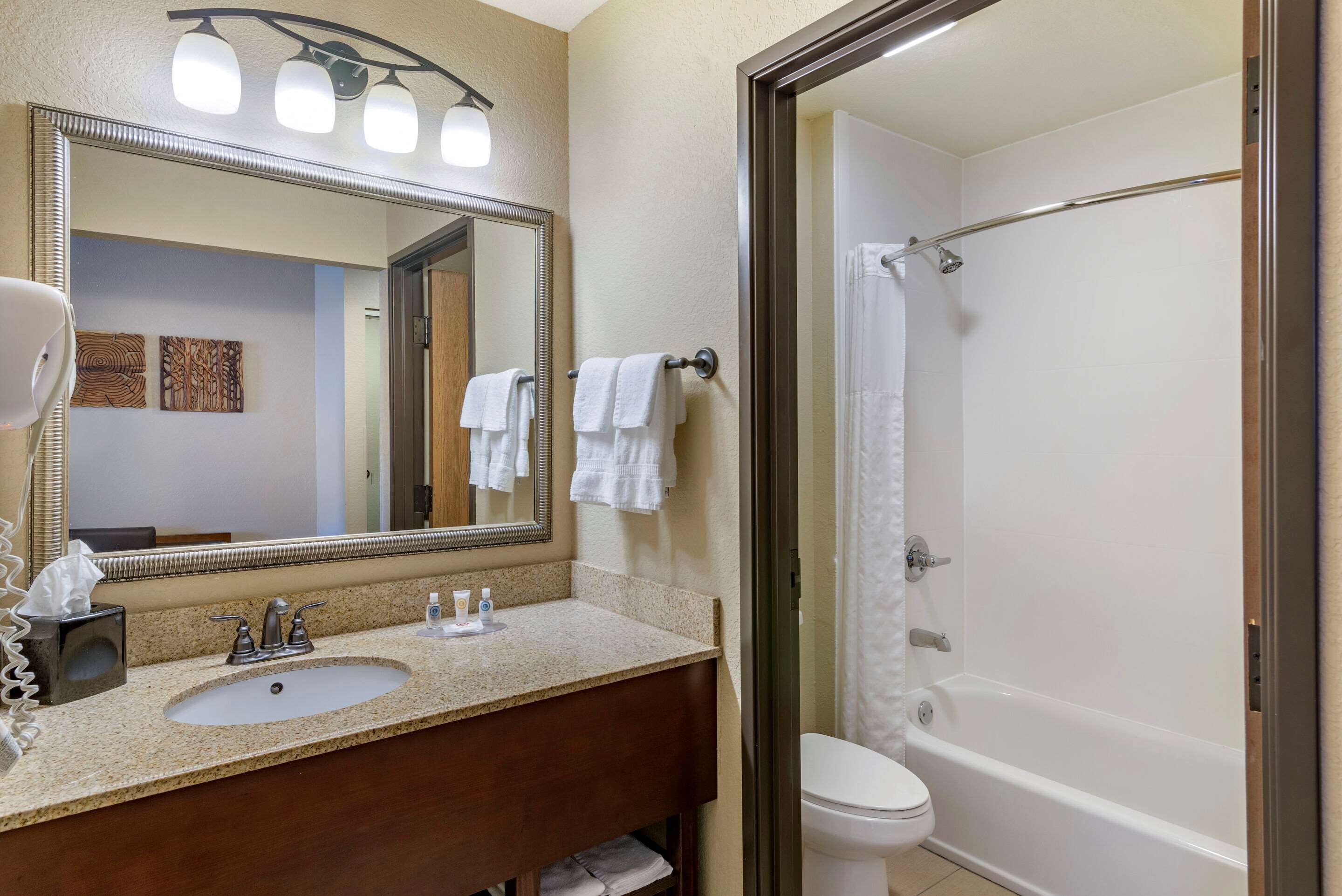 combined shower/bathtub, free toiletries, hair dryer, towels